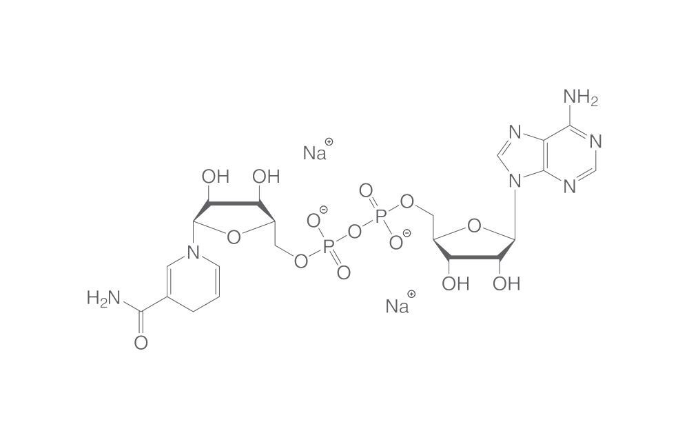 NADH disodium salt, for biochemistry, 10 g, glass