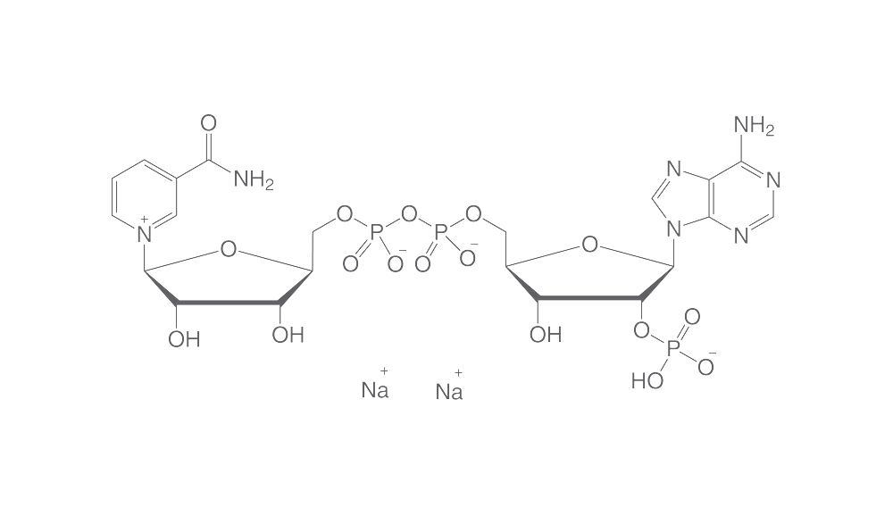 NADP disodium salt, min. 98 %, for biochemistry, 250 mg, glass