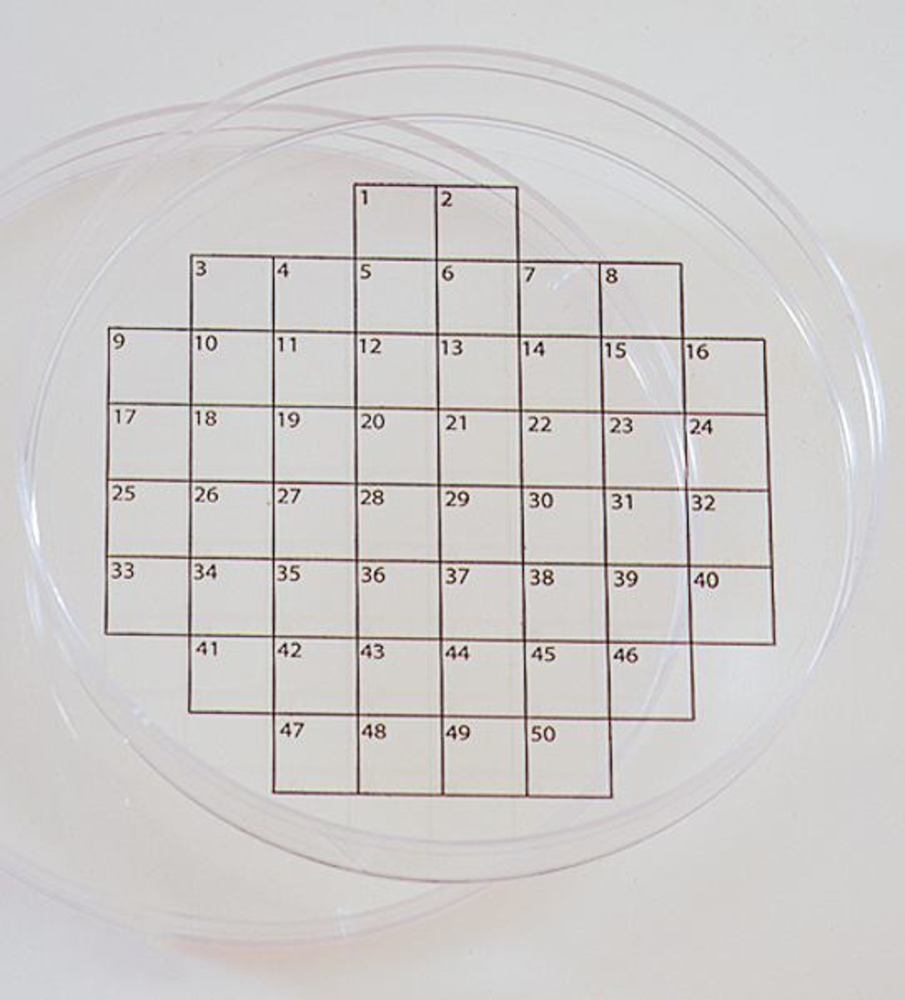 PetriStickerTM, square grid, 70 arrays, 36 unit(s)