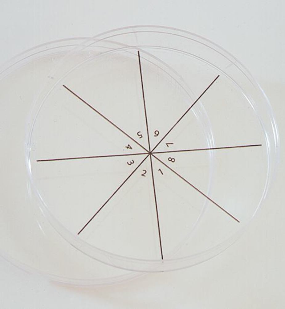 PetriStickerTM, pie cut, 6 arrays, 36 unit(s)