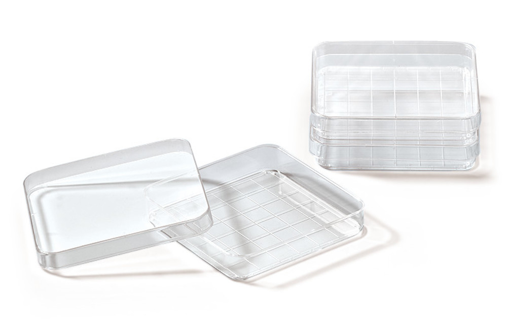 Quadratic petri bowls with grid, PS, L 100 x W 100 x H 15 mm, vol. 110 ml