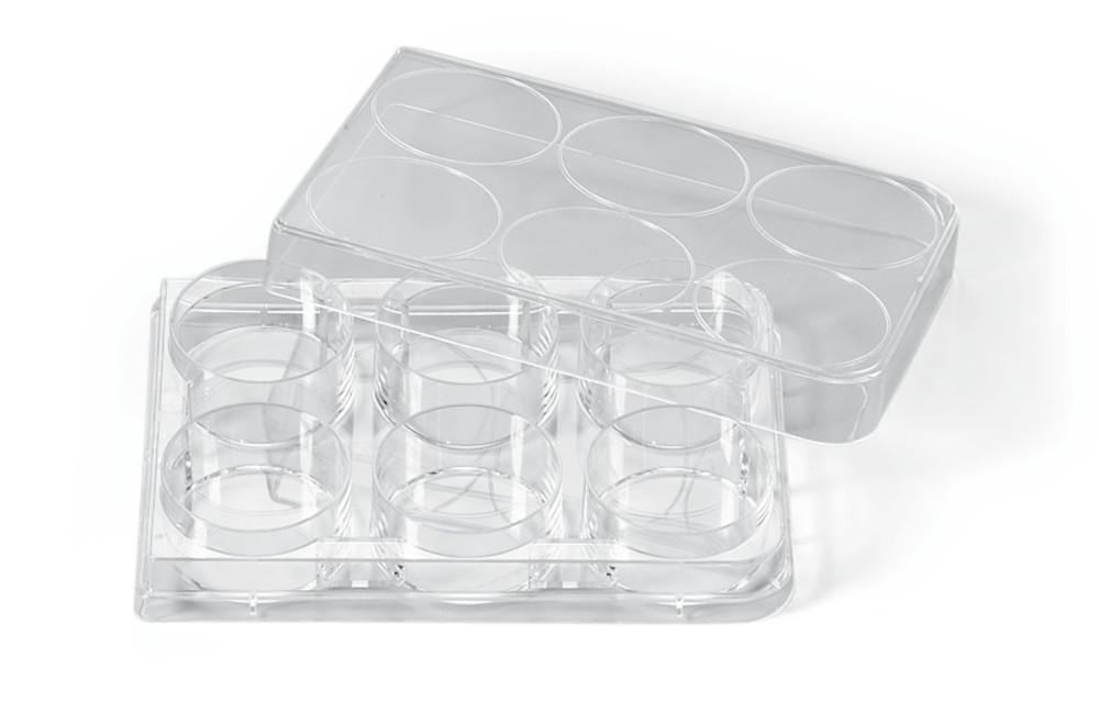 Macro plates, 6-well, 100 unit(s)
