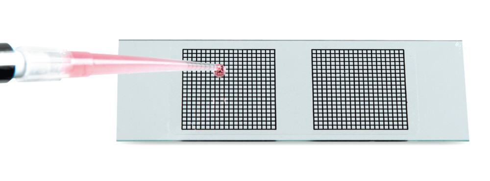 Marking films for microscope slides, 2 grids 20 x 20 mm, 40 unit(s)