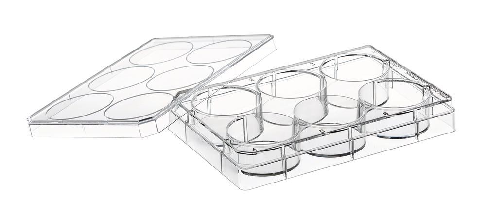Cell culture Multiwell plates, PS, with cover plate, sterile, 6 Wells