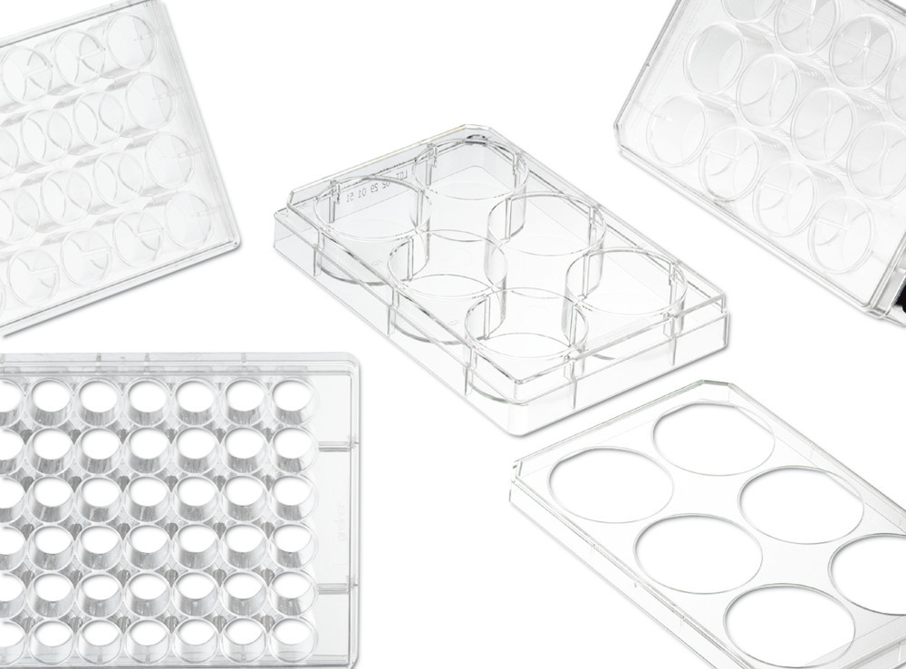 Cell culture Multiwell plates, PS, with cover plate, sterile, 12 Wells