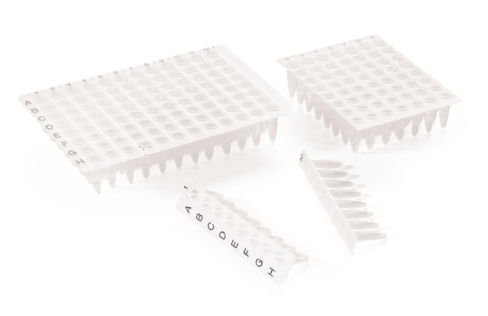 Rotilabo®-PCR trays, with partitioning, made of PP, without frame, 50 unit(s)