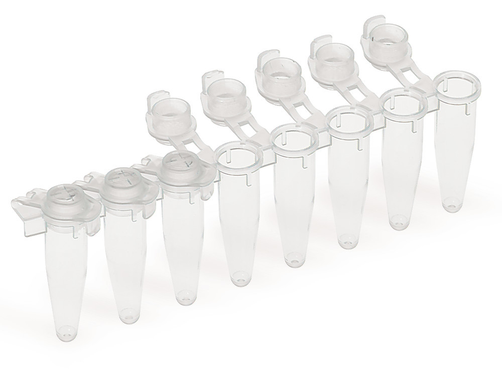 PCR-strips 8 tubes, PP, colourless, lid curved, 0.2 ml, 125 unit(s)