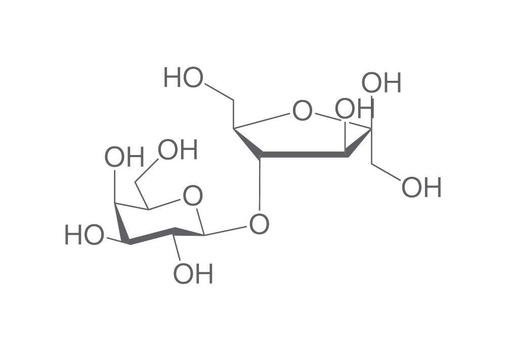 Lactulose, min. 98 %, for biochemistry, 10 g, plastic — Carl Roth, cod CN98.1