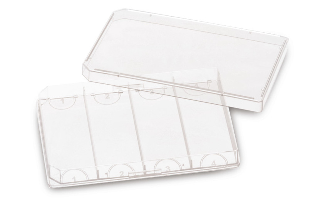 FourWell Plate(TM) CELLSTAR®, made of PS, 32 unit(s)