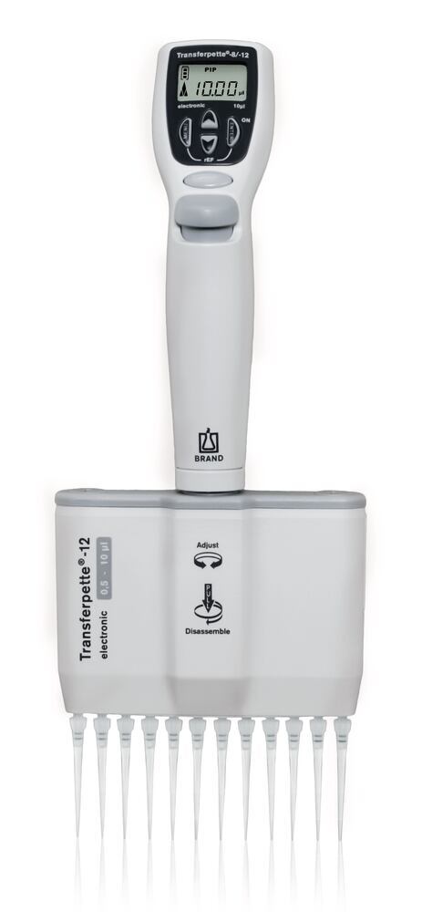 Multi-channel microlitre pipette Transferpette® electronic 12-channel