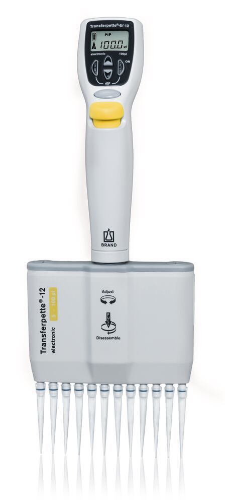 Multi-channel microlitre pipette Transferpette® electronic 12-channel