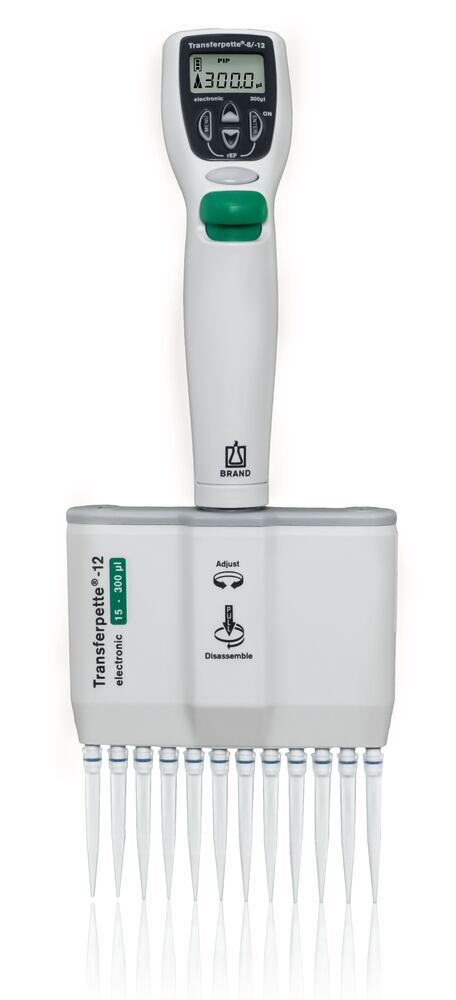 Multi-channel microlitre pipette Transferpette® electronic 12-channel