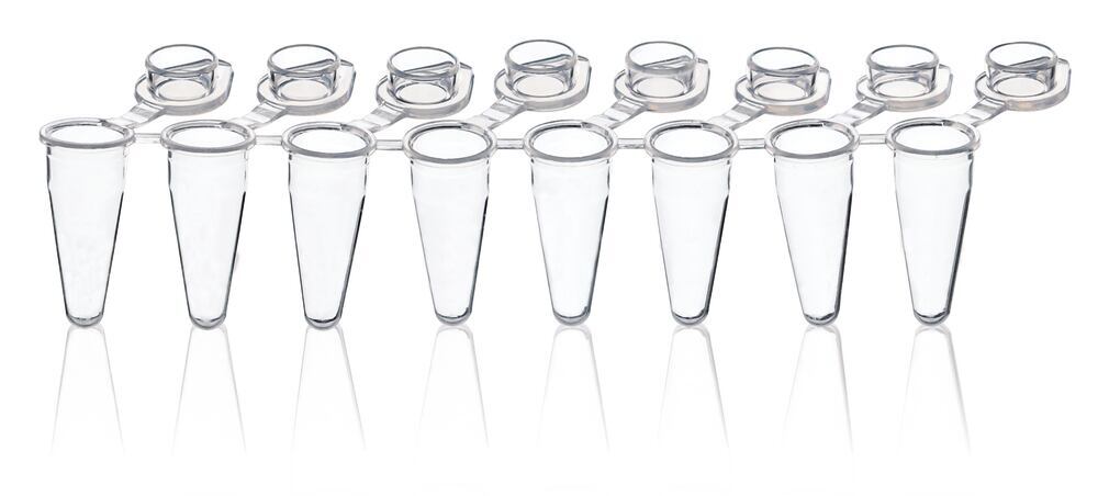 PCR reaction vials, strip of 8,, low profile, made of PP. Volume 0.15 ml