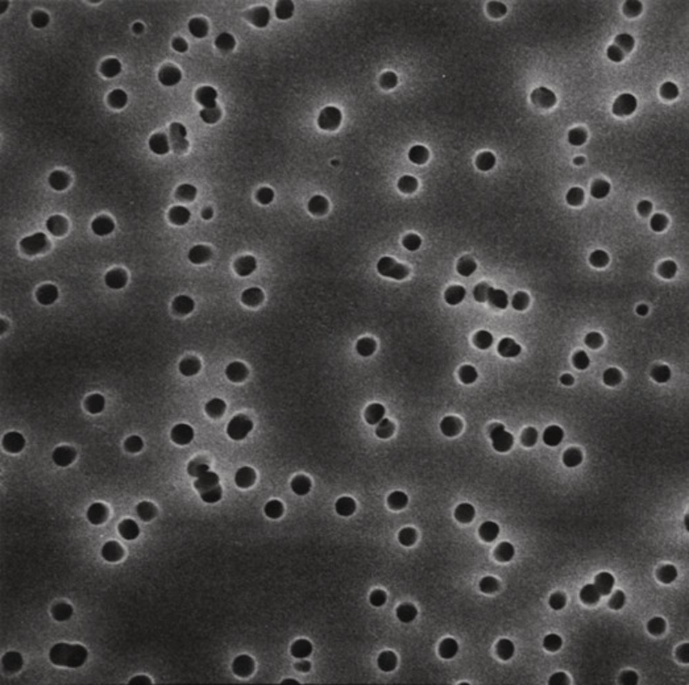 Polycarbonate-Membrane filters, white Ø 13 mm, pore size 0.22 µm, 100 unit(s)