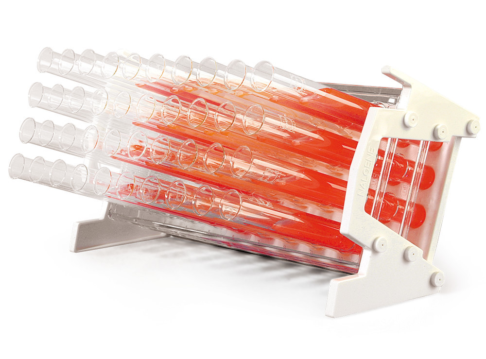 Slanted rack, for tubes Ø 15 - 16 mm, white PC, 40 holes (4 x 10), 1 unit(s)