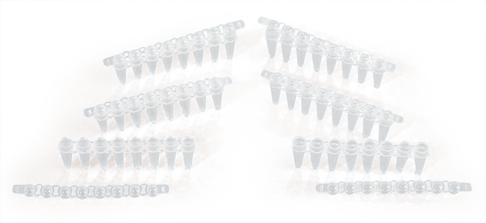 Mµlti®-UltraStrips 8-tubes, PP, colourless, sterile, thin-walled, 120 unit(s)