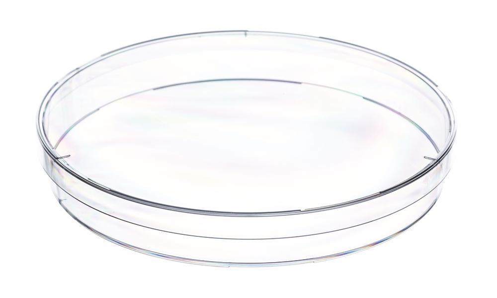 Petri dishes, unsterile, with ventilating cam, Ø 145 mm, H 20 mm, 120 unit(s)