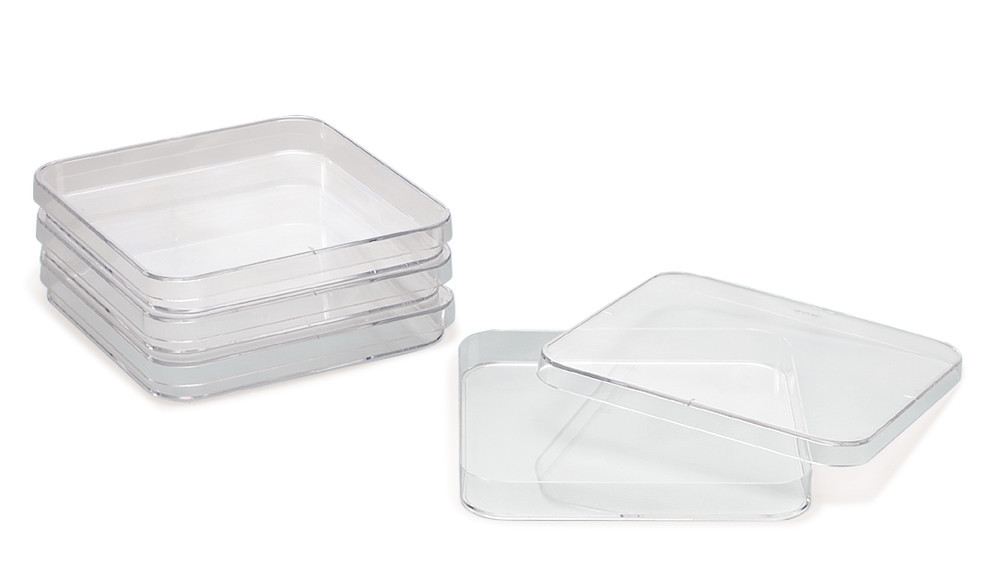 Quadratic petri bowls, PS, L 120 x W 120 x H 17 mm, 240 unit(s)