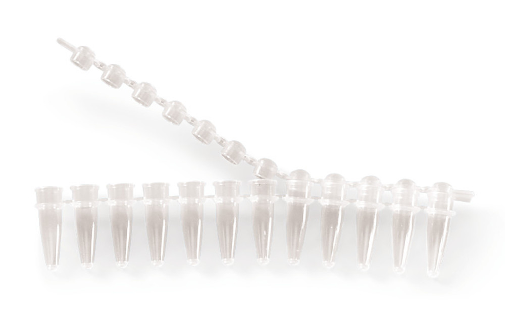 Acces. for PCR-strips 12 tubes, lid strips, PP, colourless, 125 unit(s) — Carl Roth, cod EL79.1
