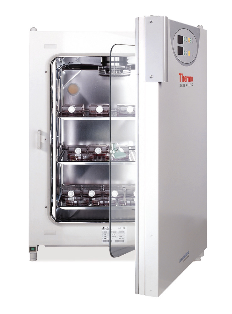 CO2-incubator BB 15, Capacity 151 l, 1 unit(s)