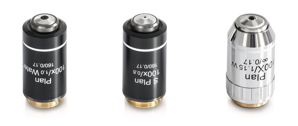 100x lens, planachromatic, (spring, water) / N.A. 1.0, W.D. 0.18 mm, 1 unit(s)