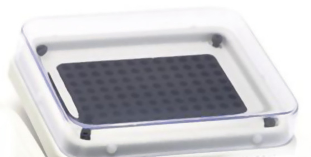 Exchangeable block for 96-well plates, or tube strips 0.2 ml for rimless plates