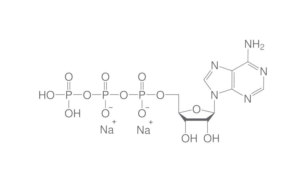 Adenosin-5'-triphosphate disodium salt, (ATP), min. 95 %, for biochemistry, 5 g