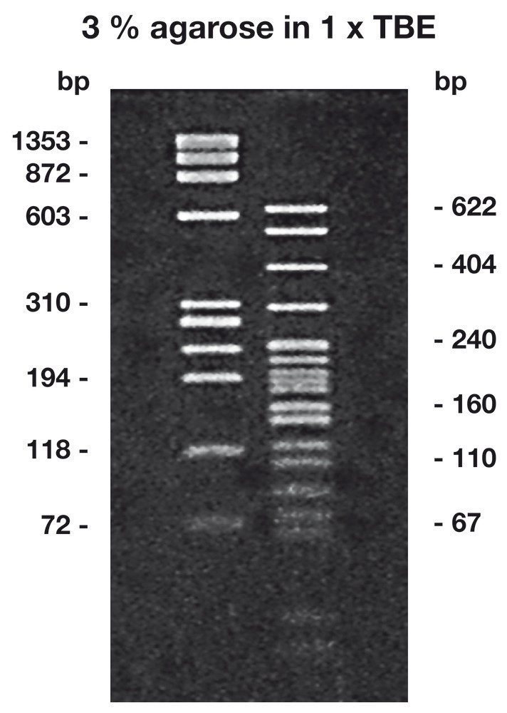Agarose LM/PCR ROTI®Garose, Low melt,genetic engineering quality, 100 g, plastic