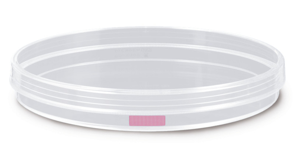 Cell culture dishes, standard, sterile, PS, Ø 150 mm, H 20 mm, 100 unit(s) — Carl Roth, cod HPX6.1