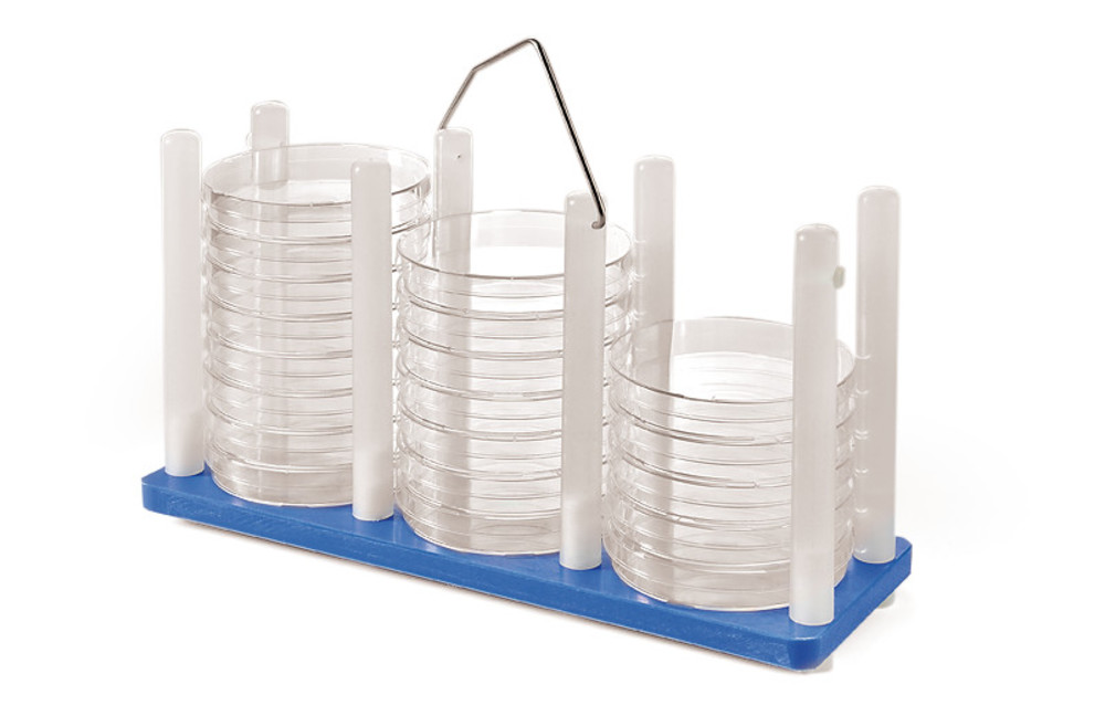 Rotilabo®-stands for petri dishes, PP, blue, for 3 x 10 dishes, Ø 90 mm — Carl Roth, cod K122.1