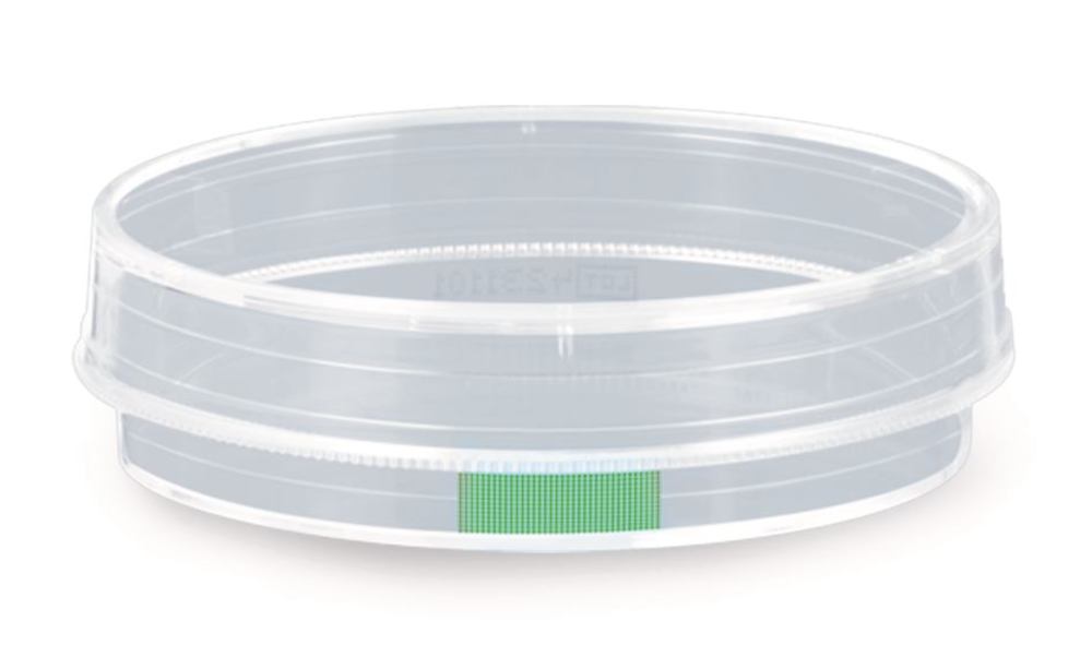Cell culture dishes Suspension,, sterile, PS, Ø 60 x H 15 mm, 500 unit(s) — Carl Roth, cod KKK0.1