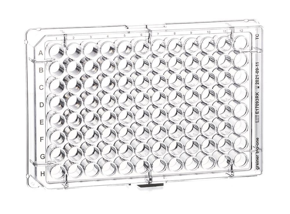 Cell culture multiwell plate CELLSTAR TC, PS, with cover plate, sterile