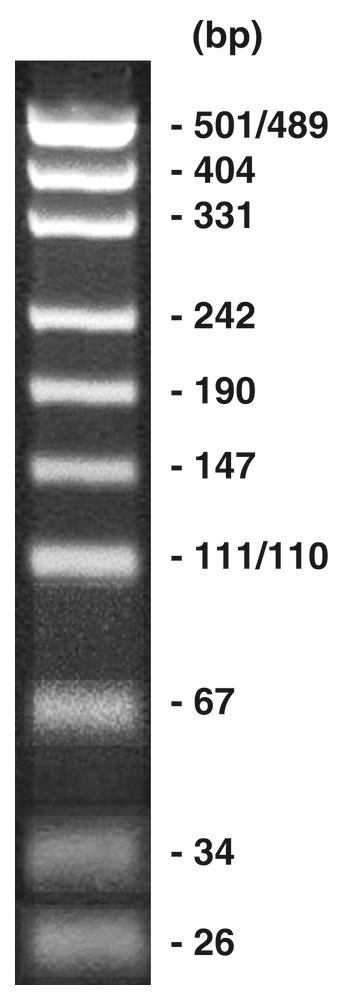 pUC19/Msp I, DNA-marker + gel loading buffer, 50 µg, plastic