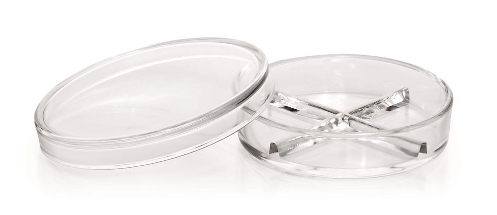 Petri dishes with partitions, DURAN®, Ø 100 x H 20 mm, with 4 partitions