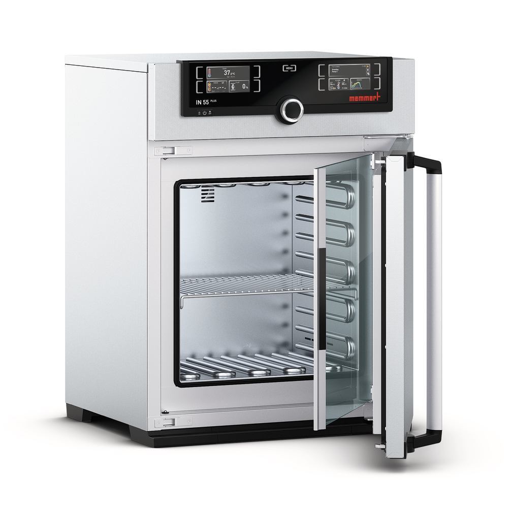 Incubator INplus 55, 53 l, max. 80 °C, nat. convection, 1 unit(s)