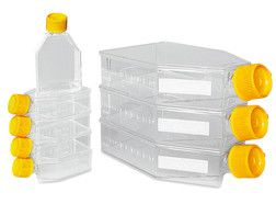 Tissue culture bottles, PS, sterile, L 150 x W 85 x H 35 mm, 270 ml, 100 unit(s)