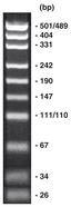 pUC19-Marker, DNA-marker, ready-to-use, 500 µl, plastic