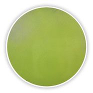 Cetrimide Agar (Base), ISO 22717, for microbiology, 500 g, plastic