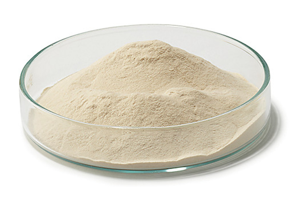 LB Broth (Luria/Miller), for molecular biology, 2.5 kg, plastic