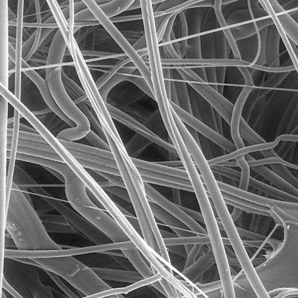 PP prefilter, hydrophobic, Ø 47 mm, pore size 30 µm, 100 unit(s)