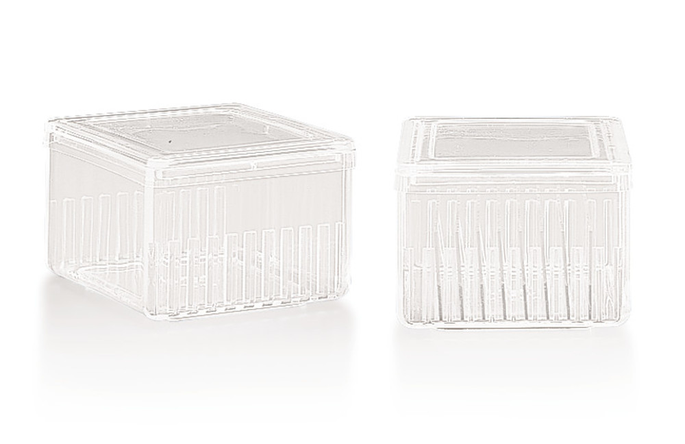 Schiefferdecker staining boxes, PMP, for 20 microscope slides, 76 x 26 mm — Carl Roth, cod XC73.1
