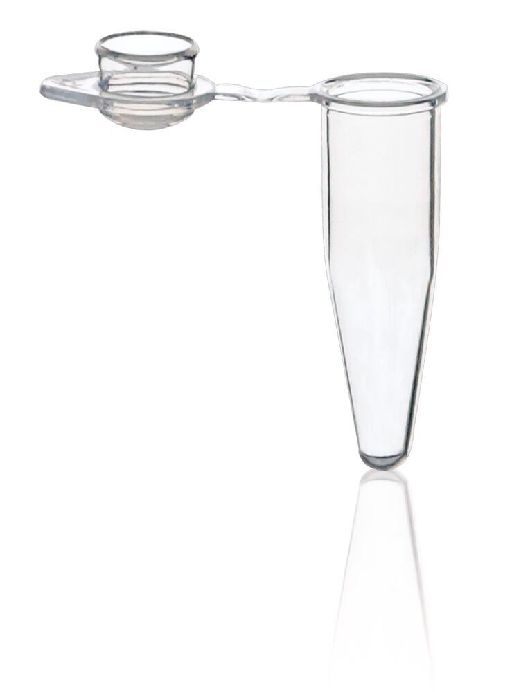 PCR reaction vials, 0,2 ml, attached convex caps, 1000 unit(s) — Carl Roth, cod XT86.1