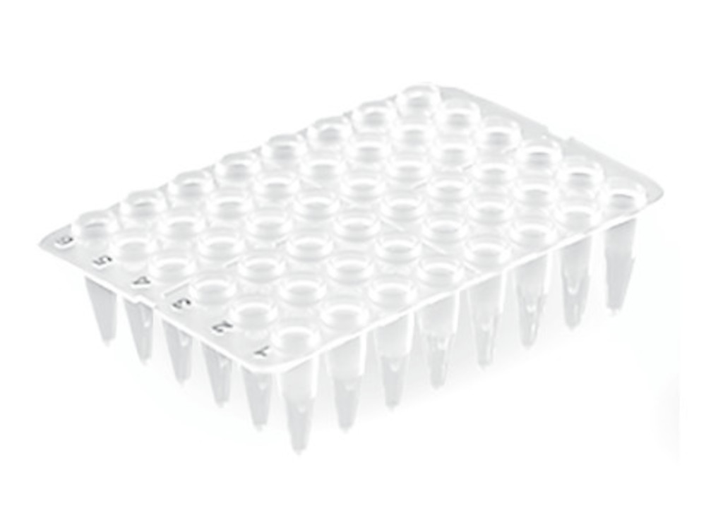 48-well PCR trays, without rack, 20 unit(s) — Carl Roth, cod XT95.1