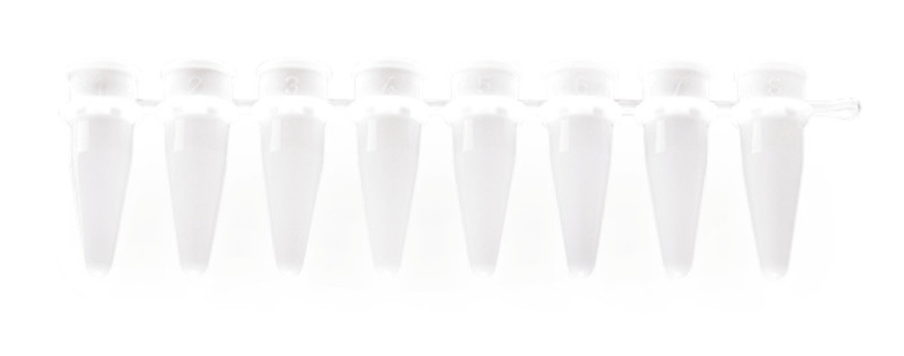 PCR tube strips for real time PCR, capped strips, flat, 125 unit(s) — Carl Roth, cod XX01.1