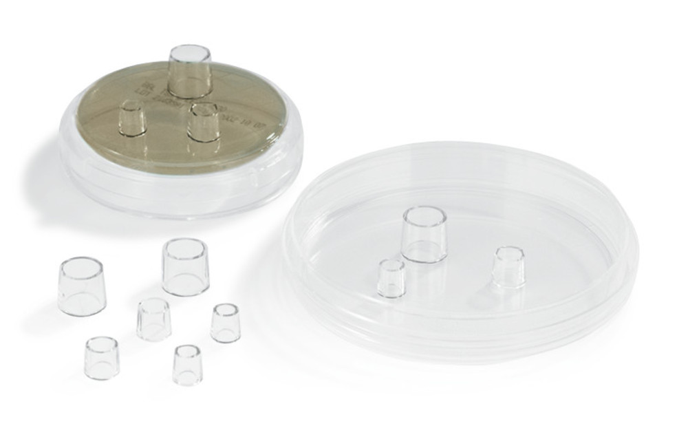 Clone cylinder - size L, PS, sterile, large, 50 unit(s) — Carl Roth, cod YA80.1